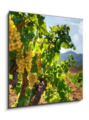 Obraz 1D - 50 x 50 cm F_F26481965 -