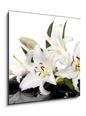 Obraz 1D - 50 x 50 cm F_F28705565 - madonna lily and spa stone