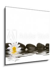 Obraz 1D - 50 x 50 cm F_F2881748 - spa stones and daisy
