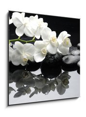 Obraz   Close up white orchid with stone water drops, 50 x 50 cm