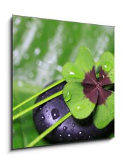 Obraz 1D - 50 x 50 cm F_F29036360 - Im Einklang mit der Natur - V souladu s přírodou