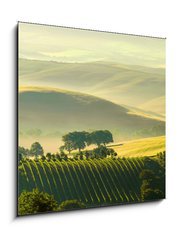 Sklenn obraz 1D - 50 x 50 cm F_F29255589 - Toskana Huegel  - Tuscany hills 38