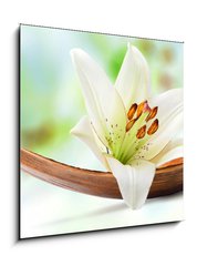 Obraz   Beautiful white lily flower on a coco palm leaf, 50 x 50 cm