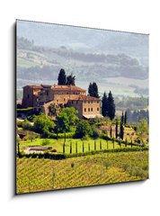 Sklenn obraz 1D - 50 x 50 cm F_F29789436 - Toskana Weingut - Tuscany vineyard 03