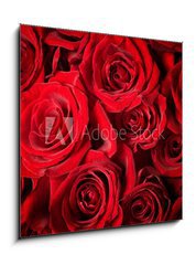 Obraz 1D - 50 x 50 cm F_F29943070 - Roses Background - Re pozad