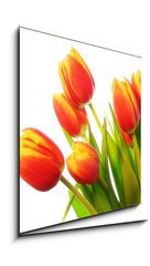 Obraz 1D - 50 x 50 cm F_F31031633 - Tulips bouquet