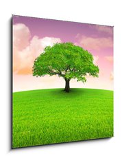 Sklenn obraz 1D - 50 x 50 cm F_F3120144 - arbre sur prairie - arbre sur prrie