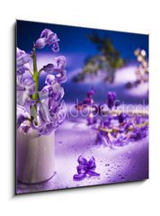 Obraz 1D - 50 x 50 cm F_F31402234 - Still life with hyacinth flower in gentle violet colors and magi - Zátiší s květinou hyacintu v jemných fialových barvách a magii