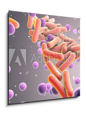 Sklenn obraz 1D - 50 x 50 cm F_F316394282 - Medicine Bacteria and virus Picture