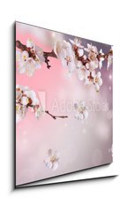 Obraz 1D - 50 x 50 cm F_F31669597 - Spring Blossom Design