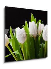 Obraz 1D - 50 x 50 cm F_F31897392 - Bouquet of white tulips on black background