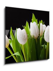 Obraz 1D - 50 x 50 cm F_F31897392 - Bouquet of white tulips on black background - Kytice bílých tulipánů na černém pozadí