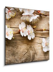 Obraz   Wood background with spring blossom, 50 x 50 cm