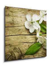 Obraz   Spring Blossom over wooden background, 50 x 50 cm