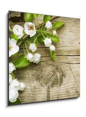 Obraz 1D - 50 x 50 cm F_F32351313 - Spring Blossom over wooden background - Jarn kvt na devnm pozad