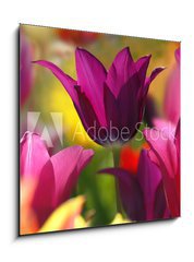 Sklenn obraz 1D - 50 x 50 cm F_F32429216 - Spring beauty
