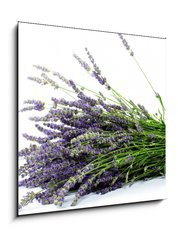 Sklenn obraz 1D - 50 x 50 cm F_F32774353 - Lavender - Levandule