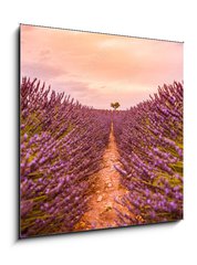 Obraz 1D - 50 x 50 cm F_F328521401 - Dramatic sunset landscape. Tree in lavender field at sunset in Provence, France