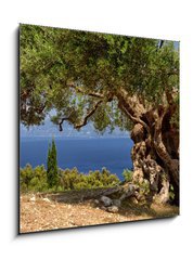 Sklenn obraz 1D - 50 x 50 cm F_F33058349 - Griechische Inseln