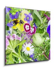 Obraz 1D - 50 x 50 cm F_F33239729 - Abstract June plants and flowers background - Abstrakt erven rostliny a kvtiny pozad