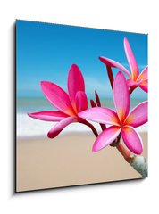 Obraz 1D - 50 x 50 cm F_F33453056 - Plumeria flowers on the beach - Plumeria kvtiny na pli