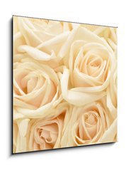 Obraz 1D - 50 x 50 cm F_F34255853 - Beautiful white rose background - Krsn pozad bl re