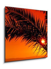 Obraz 1D - 50 x 50 cm F_F3480088 - palm tree during sunset - palmov strom pi zpadu slunce