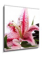 Sklenn obraz 1D - 50 x 50 cm F_F34989427 - Steine,Lilium