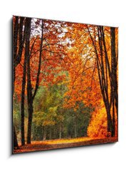 Obraz 1D - 50 x 50 cm F_F35345488 - Autumn park in oil painting style