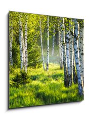 Obraz 1D - 50 x 50 cm F_F353870391 - Spring green foliage