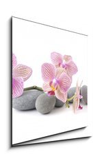 Obraz 1D - 50 x 50 cm F_F35870140 - Still life with pink orchid with gray stones - Zti s rovou orchidej se edmi kameny
