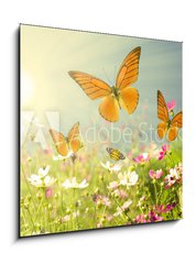 Obraz   summer flowers, 50 x 50 cm