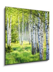 Obraz 1D - 50 x 50 cm F_F363600583 - Spring green foliage