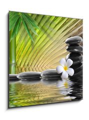 Obraz   spa stones,bamboo with frangipani, 50 x 50 cm