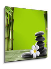 Obraz 1D - 50 x 50 cm F_F37470150 - Young, green bamboo in the background boke - Mlad, zelen bambus v pozad boke