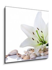 Obraz   spa flower towel sea shell on white, 50 x 50 cm