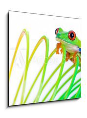 Obraz 1D - 50 x 50 cm F_F38488901 - Colorful Frog on a spring, coil toy