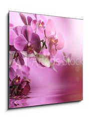 Obraz 1D - 50 x 50 cm F_F39704074 - Orchid flowers composition