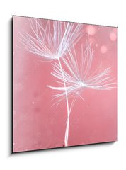 Obraz 1D - 50 x 50 cm F_F399541072 - Dandelion parachutes macro shooting