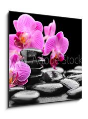 Sklenn obraz 1D - 50 x 50 cm F_F40752844 - orchid - orchidej