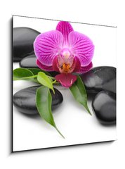 Obraz 1D - 50 x 50 cm F_F40893585 - orchid