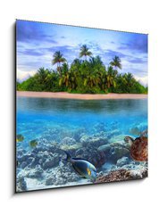 Sklenn obraz 1D - 50 x 50 cm F_F40914644 - Marine life at tropical island of Maldives - Mosk ivot na tropickm ostrov Maledivy