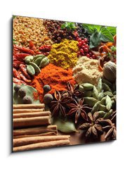 Obraz 1D - 50 x 50 cm F_F41495761 - Herbs and spices. - Bylinky a koření.