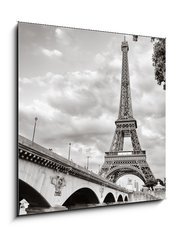 Obraz 1D - 50 x 50 cm F_F41892250 - Eiffel tower view from Seine river square format