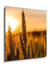 Obraz 1D - 50 x 50 cm F_F42060294 - Wheat Stalk silhouette