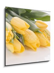 Obraz   Spring tulips isolated on white, 50 x 50 cm