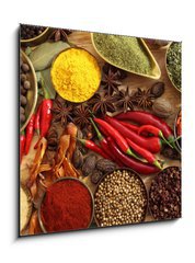Obraz 1D - 50 x 50 cm F_F43282253 - Spices and herbs - Koření a byliny