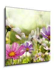 Obraz 1D - 50 x 50 cm F_F43864342 - kwiaty