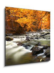 Obraz 1D - 50 x 50 cm F_F44082572 - Autumn landscape with trees and river - Podzimn krajina se stromy a ekou