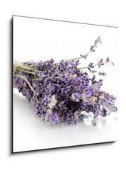 Obraz 1D - 50 x 50 cm F_F44291419 - Lavender flowers isolated on white - Levandule květiny izolovaných na bílém